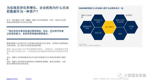數(shù)據(jù)驅(qū)動(dòng)未來 杭州軟件開發(fā)企業(yè)數(shù)字化發(fā)展路線圖
